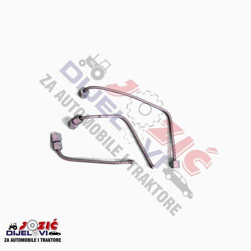 Daisy on the Ohoopee